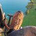 Bilder vom Motorschirmtrike XCitor Bild 7526